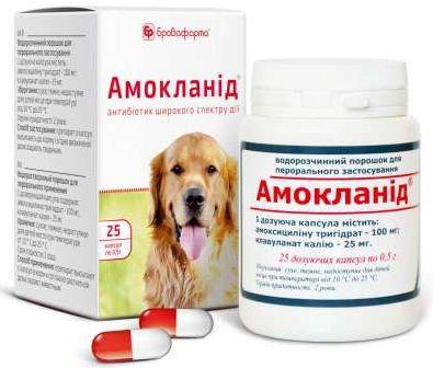 АМОКЛАНИД антибиотик для лечения заболеваний ЖКТ, органов дыхания и ...