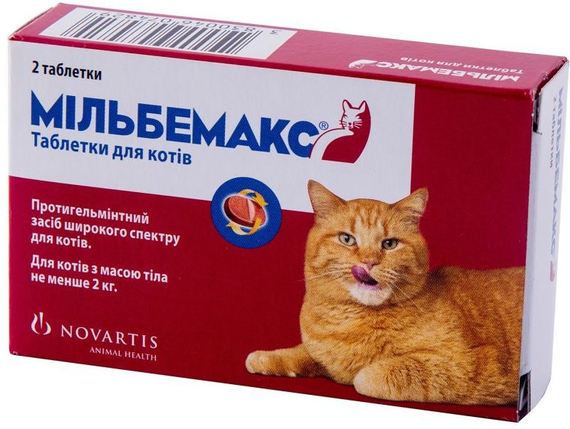 Фото мильбемакс для котят