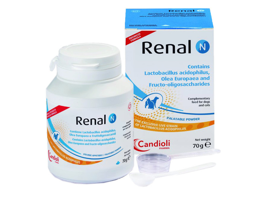 Кандиоли Ренал Н Candioli Renal N при хронической почечной ...
