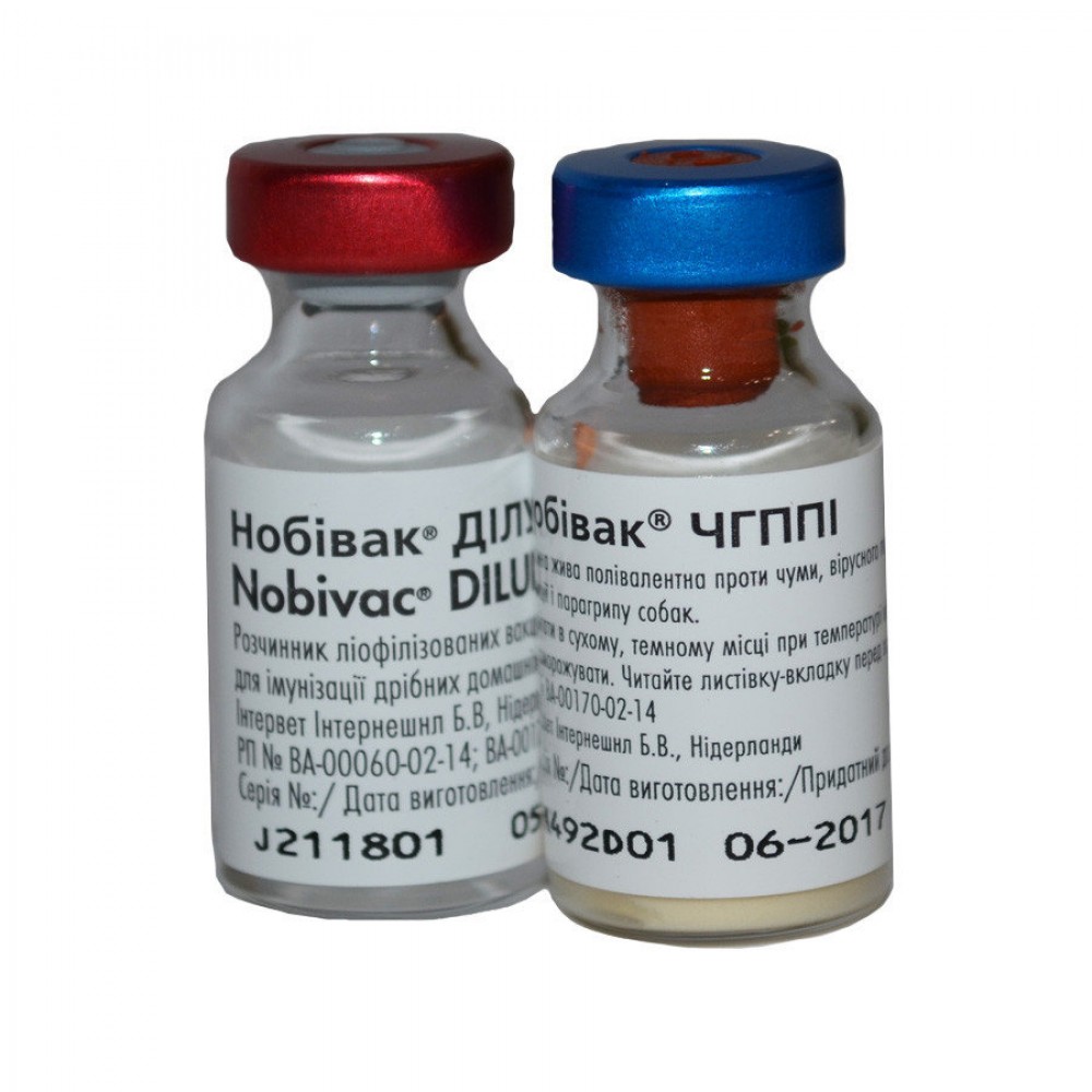 Вакцина Нобивак DHPPI для собак. Растворитель для Нобивак DHPPI. Нобивак DHPPI : сухая вакцина для собак. Нобивак DHPPI + Rabies вакцина для собак.