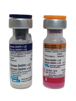 Біокан DHPPI+LR Biocan DHPPI+LR вакцина для собак (чума,ларинготрахеїт,гепатит парвовіроз,лептоспіроз сказ),1 доза