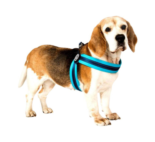 Шлейка Матрикс Блакитне Небо Q-Fit Harness Matrix Sky Blue/L для собак, обхват грудей 50 - 56 см (215034)