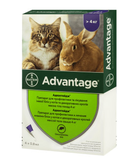 Адвантейдж 4-8 кг Advantage краплі від бліх для котів і декоративних кроликів, 4 піпетки