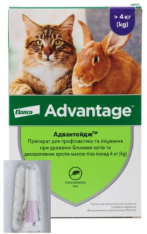 Адвантейдж більше 4 кг Advantage краплі від бліх для котів і декоративних кроликів, 1 піпетка (904)
