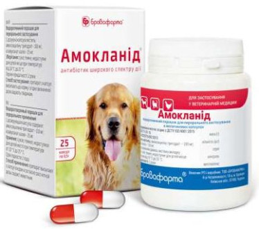 Амокланід антибіотик для лікування захворювань ШКТ, органів дихання та сечовивідних шляхів у собак, 25 капсул по 0,5 гр