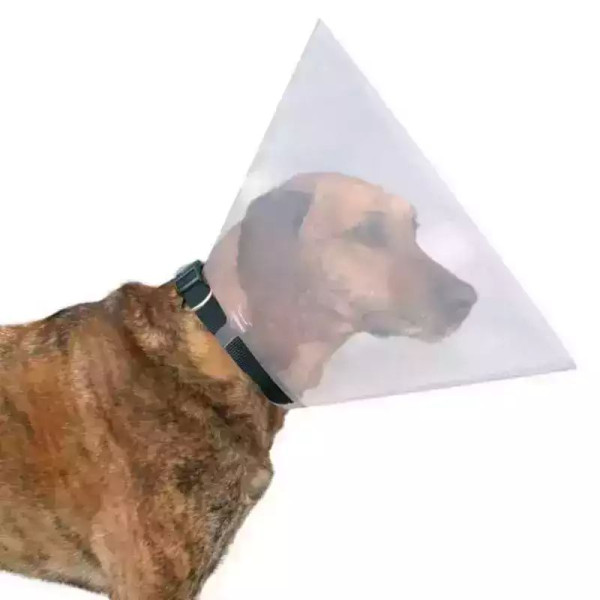 Ветеринарний комір Collar Dog Exterme пластиковий для собак і котів, розмір М, обхват шиї 38 - 44 см, висота 20 см (1563)