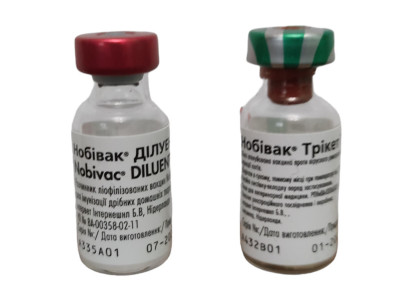 Нобівак Трікет Тріо вакцина проти калицивироза ринотрахеїту панлейкопенії кішок, 1 доза + розчинник