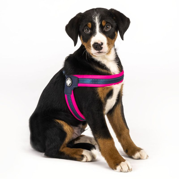 Шлейка Рожевий Матрикс Max &amp; Molly Q-Fit Harness Matrix Pink/L для собак, обхват грудей 50 - 56 см (212034)