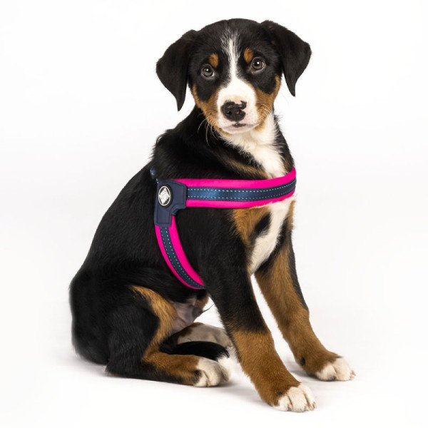 Шлейка Рожевий Матрикс Max &amp; Molly Q-Fit Harness Matrix Pink/S для собак, обхват грудей 39 - 42 см (000007242)