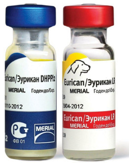 Еурікан DHPPi2+LR Eurican вакцина для собак (чума, гепатит, парвовірус, аденовірус, сказ)