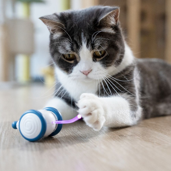 Cheerble Wicked Mouse Prussian Blue інтерактивна синя мишка, іграшка для котів (С0821)