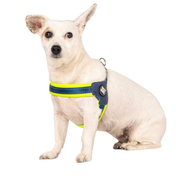 Шлейка Матрікс Зелений Лайм Q-Fit Harness Matrix Lime Green/L для собак, обхват грудей 50 - 56 см (214034)