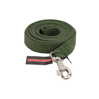 Повідець брезентовий "Пухнастики" зелений 25 мм/3 м