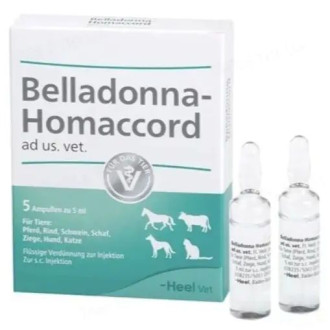 Бєладонна-Гомакорд Хеель Belladonna-Homaccord Heel гомеопатичний лікарський засіб, 5 ампул по 5 мл