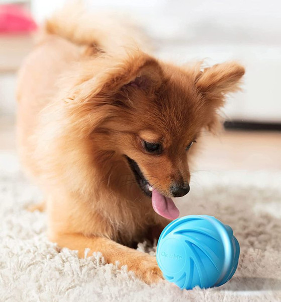 Cheerble Wicked Blue Ball Cyclone Блакитний Циклон інтерактивний синій м'яч, іграшка для собак (С1803)