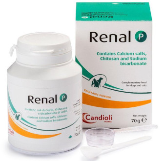 Кандіолі Ренал Р Candioli renal Р при хронічній нирковій недостатності у кішок і собак, 70 гр порошок