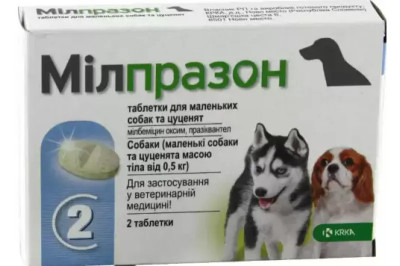 Мілпразон Мilprazon зі смаком м'яса від глистів для собак вагою до 5 кг, 1 таблетка