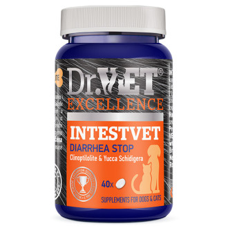 Інтествет Dr.Vet Intestvet Diarrhea Stop вітамінно-мінеральна добавка за діареї у собак і котів, 40 таблеток (0211202301)