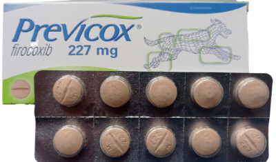 Превікокс 227 мг Previcox L протизапальний, жарознижувальний засіб, 10 таблеток