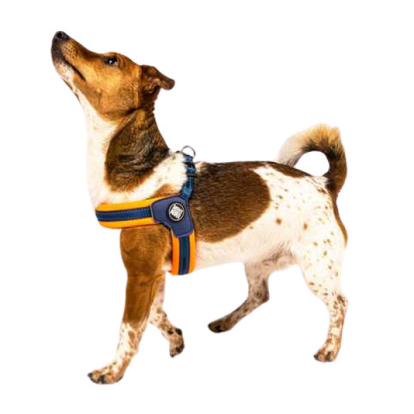 Шлейка Помаранчевий Матрикс Q-Fit Harness Matrix Orange/S для собак, обхват грудей 39 - 42 см (213032)