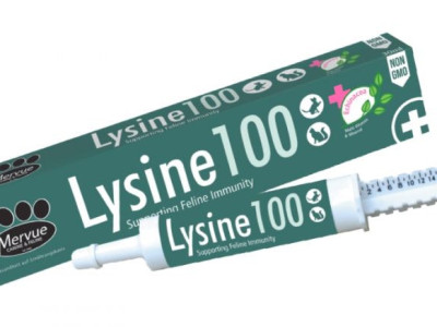Лізин Mervue Lysine 100, паста для підтримання імунітету в разі вірусних захворювань у котів, 30 мл (0210202304)