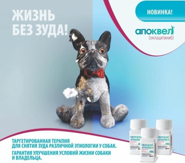 Апоквель 3,6 мг Apoquel для лечения дерматитов сопровождающихся зудом, у собак, 20 таблеток