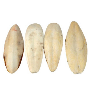 Мінеральний камінь для птахів Fantasia з панцеря каракатиці (без утримувача), 22-25 см