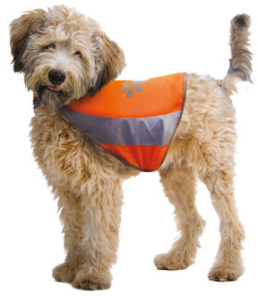 Світловідбивний жилет Croci Visiblity для собак, розмір М, обхват шиї 42 - 50 см, об'єм грудей 50 - 68 см (C6020108)